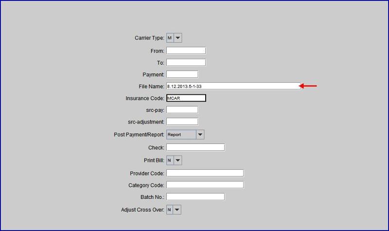 Payment Auto Payment View Report