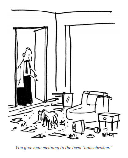 Man and Housebroken Dog